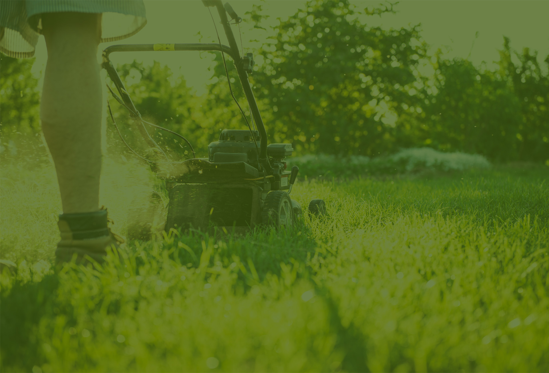 Complete Landscape Solutions team leader reviewing a Central Florida property site