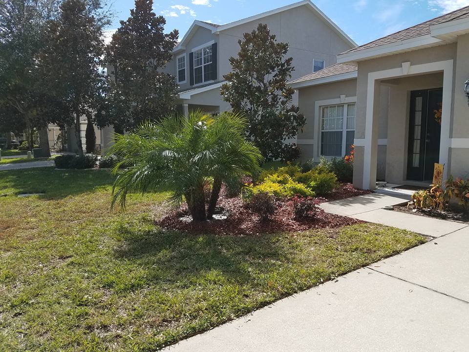Decorative planting and hardscape, residential Tampa FL