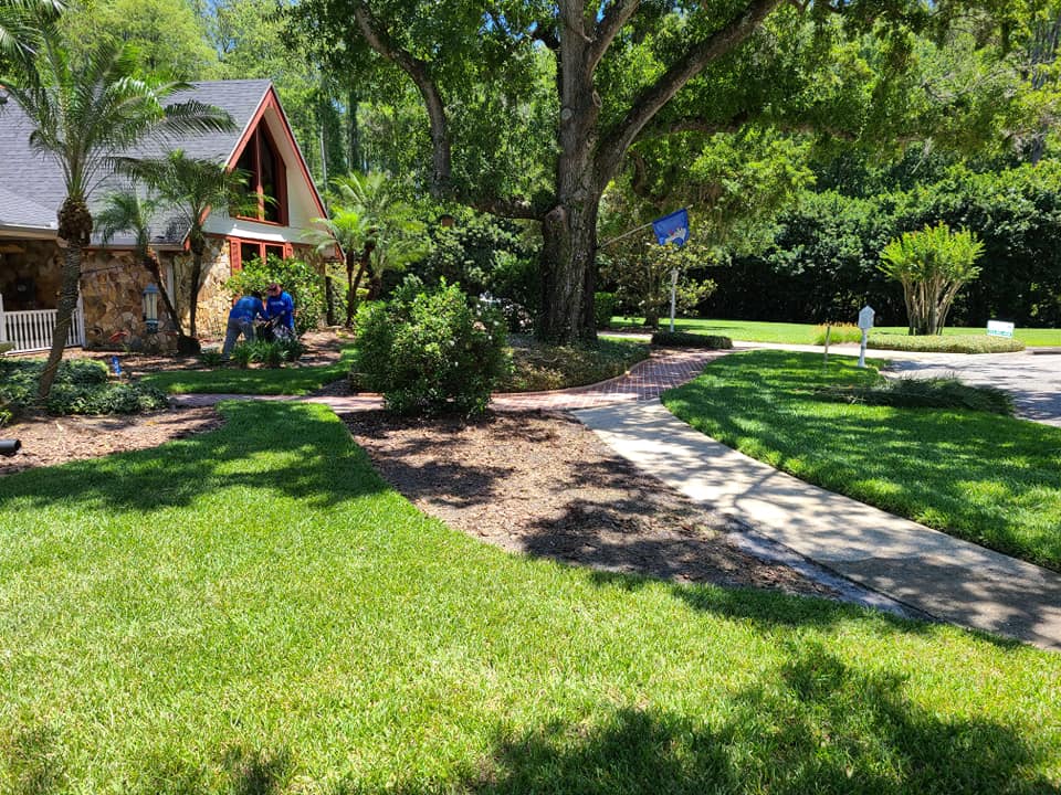 Drip irrigation and planting beds, residential property