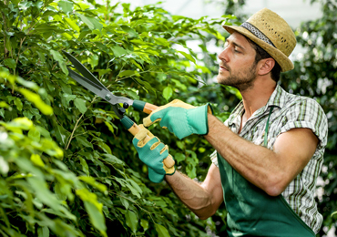 Irrigation and planting work, Tampa area property