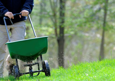 Planting and landscape enhancement, Central Florida