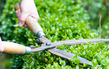 Year-round lawn and landscape maintenance at a commercial property in Tampa, FL
