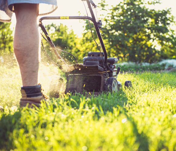 Year-round lawn maintenance and turf care, Central Florida